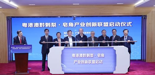 王老吉刺柠吉新品发布，广药集团牵头成立产业创新联盟，布局房地产业务